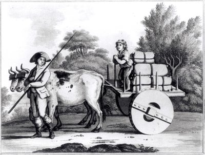 Una granja portuguesa, de Una Vista General del Estado de Portugal por James Murphy, publicado en 1797 de English School