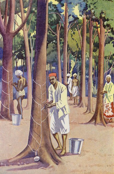 Una plantación de caucho en Malaya (litografía en color) de English School