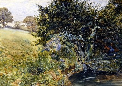 Un arroyo sombreado de English School