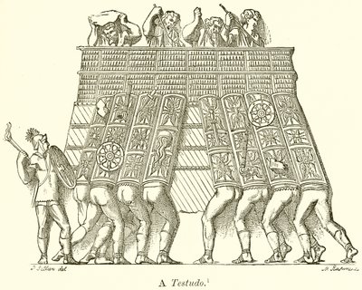 Una Testudo de English School