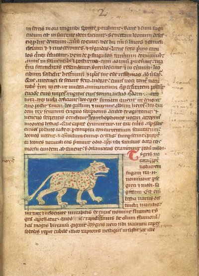 Un tigre, de Sloane 3544, f.2 (vitela) de English School
