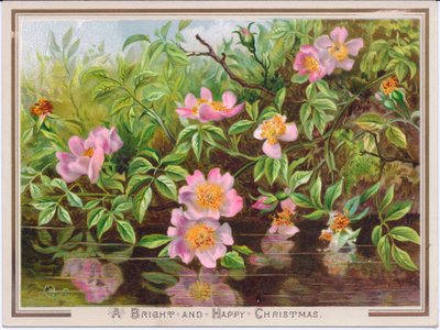 Tarjeta navideña victoriana que representa un arbusto de rosas silvestres junto a un arroyo, c.1880 de English School