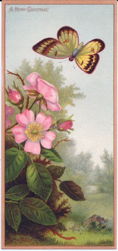 Tarjeta de Navidad Victoriana que muestra una mariposa y un arbusto de rosas silvestres, c.1880 de English School