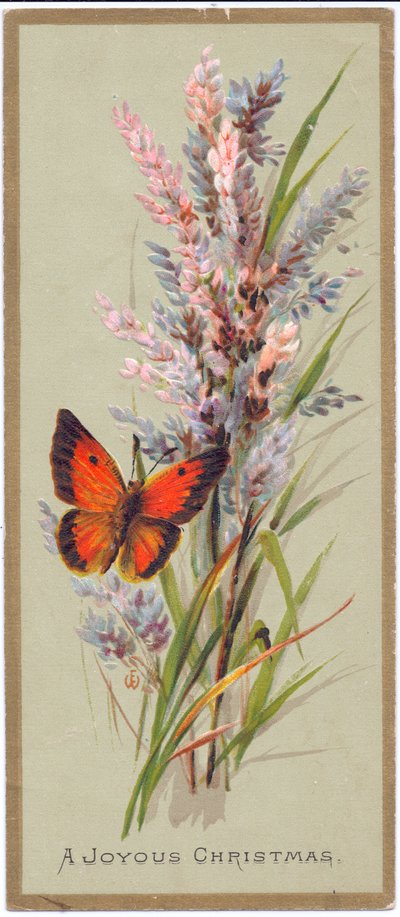 Tarjeta de Navidad victoriana de una mariposa entre hierbas altas de English School