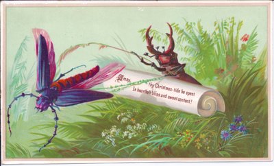 Tarjeta de Navidad Victoriana de un Insecto, Escarabajo y Pergamino con un Mensaje Navideño, circa 1880 de English School