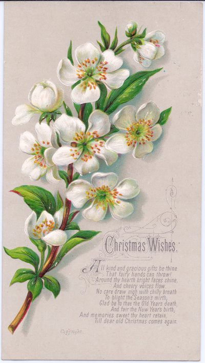 Tarjeta de Navidad victoriana con un ramo de rosas de Navidad y un verso, c.1880 de English School