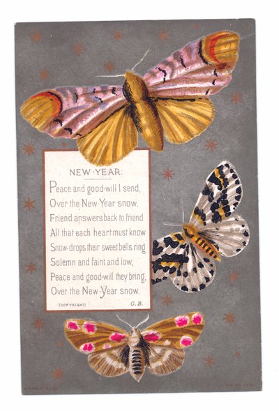 Tarjeta de Año Nuevo victoriana de tres mariposas y un verso, c.1880 de English School