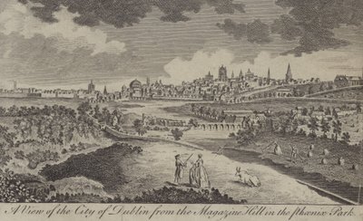 Vista de la Ciudad de Dublín desde Magazine Hill en Phoenix Park de English School