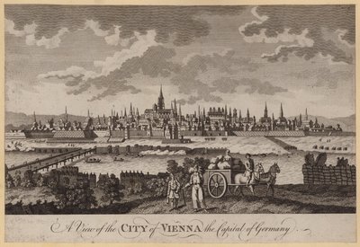 Vista de la ciudad de Viena, la capital de Alemania de English School
