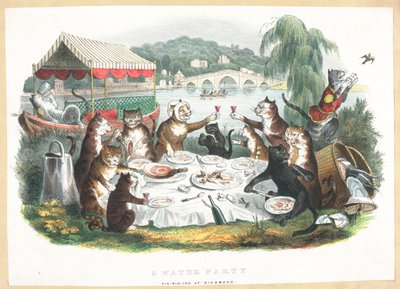 Una fiesta acuática - Picnic en Richmond de English School