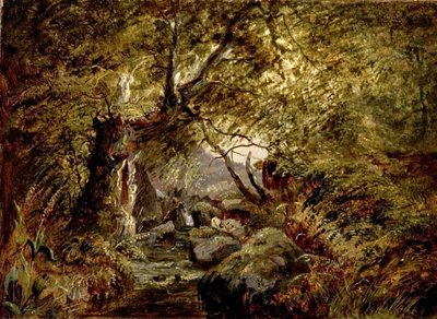 Un arroyo en el bosque de English School