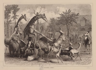A "Zoological Airing" (grabado) de English School