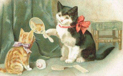 Un gato sosteniendo un espejo de mano de English School