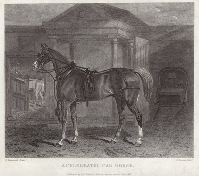 Un caballo de cabina célebre de English School