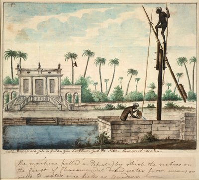 Un jardín colonial que muestra riego, c.1787 (acuarela sobre papel) de English School