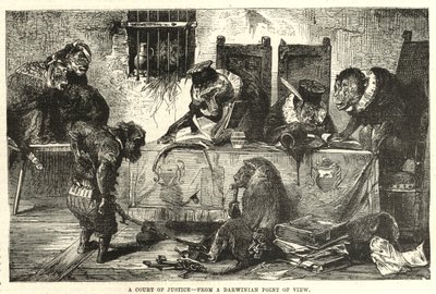 Un tribunal de justicia desde el punto de vista darwiniano de English School