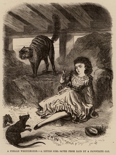 Una Whittington hembra, una niña salvada de las ratas por su gato favorito (grabado) de English School