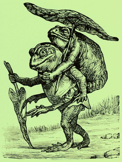 Un esposo amable, ilustración de Coles Funny Picture Book de English School