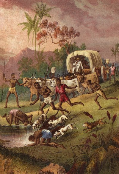 Un charco de lluvia en el camino de English School