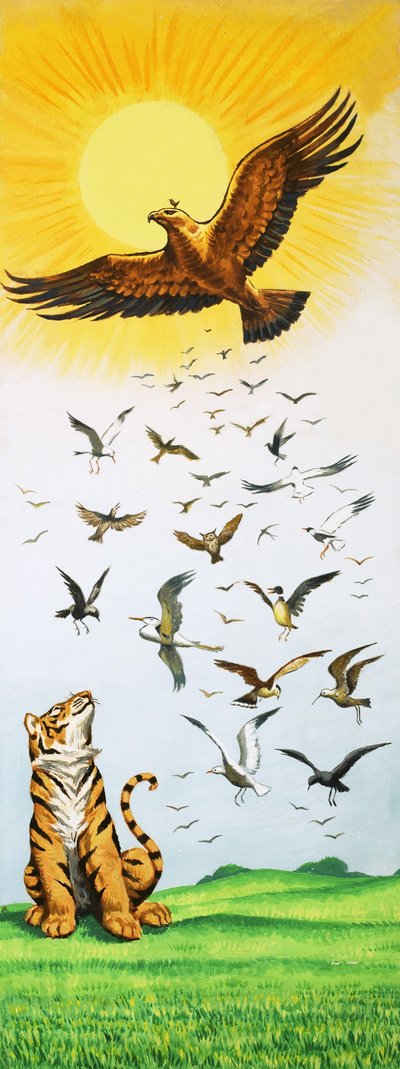 Una escena del cuento El rey de los pájaros de English School