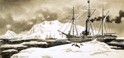 Un barco navega entre los glaciares del Ártico de English School