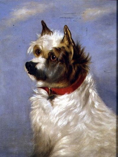 Un terrier con un collar rojo de English School