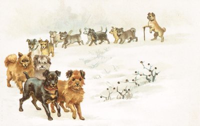 Un tren de perros en la nieve de English School