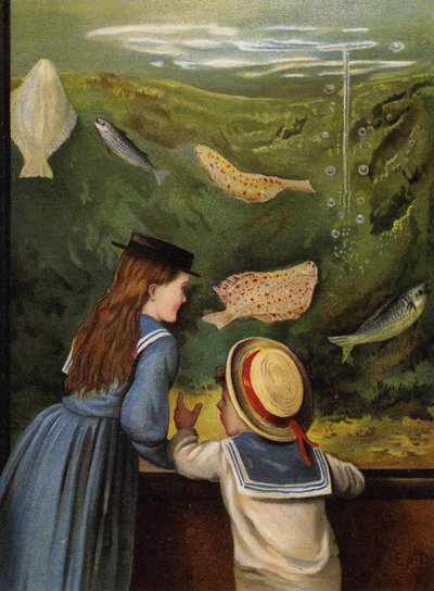 Una visita al acuario de English School