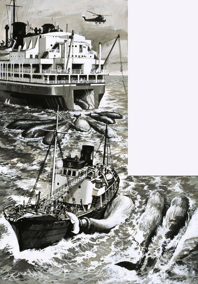 Un barco factoría ballenero de English School