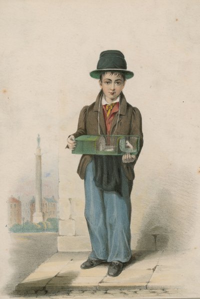 Un niño sosteniendo una jaula con ratones blancos de English School