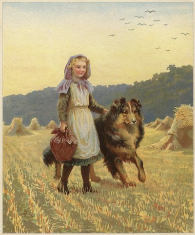 Una niña de pie en un campo con la mano sobre su perro collie de English School