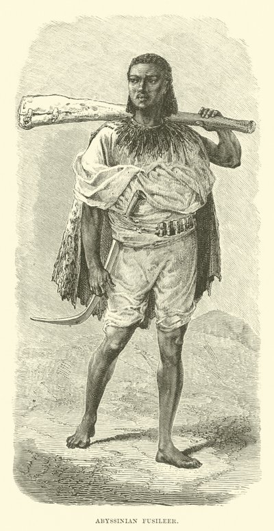Fusilero abisinio de English School