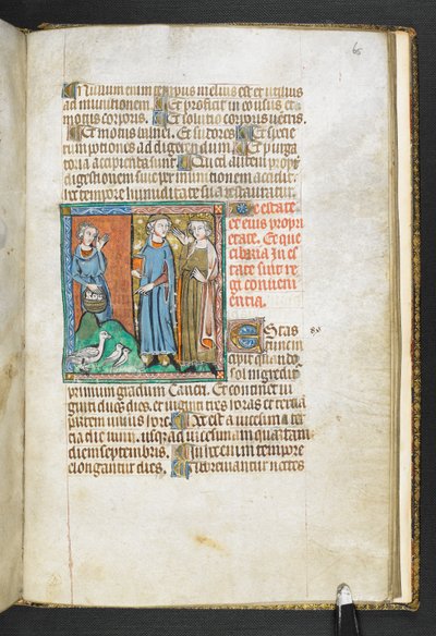 Añadir MS 47680, f.65r Aristóteles señalando pájaros traídos al rey, de Secretum Secretorum, c.1326-27 (vitela) de English School