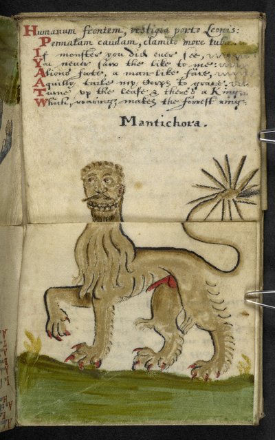 Añadir MS 57312 f.11 Game-book (tinta y color sobre papel vitela) de English School