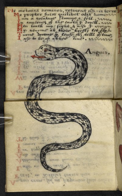 Añadir MS 57312 f.4 Game-book (tinta y color sobre papel vitela) de English School