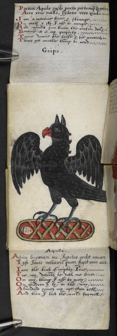 Añadir MS 57312 f.8 Game-book (tinta y color sobre papel vitela) de English School