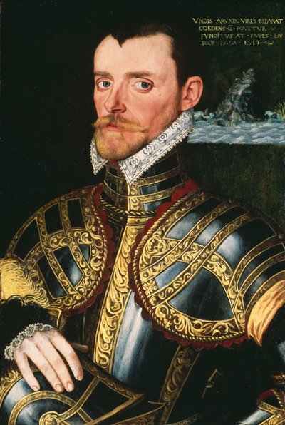 Almirante Sir Richard Hawkins (1532-1595), c.1590 (óleo sobre tabla) de English School