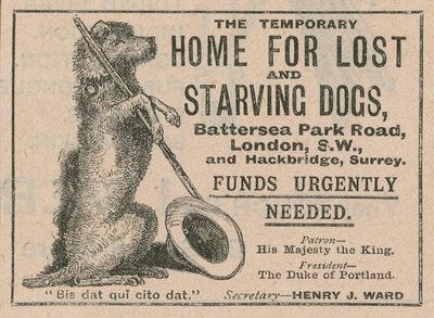 Anuncio del Hogar de Perros de Battersea de English School