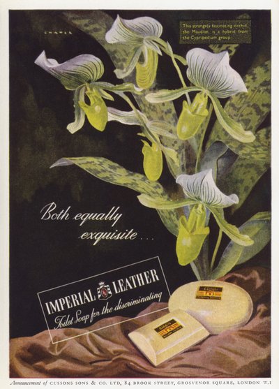 Anuncio de jabón Cussons Imperial Leather (color litografía) de English School