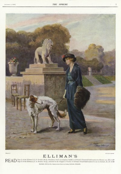 Anuncio de la Embrocación Universal de Ellimans de English School