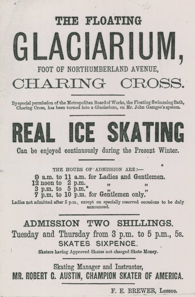 Anuncio del Glaciarium Flotante de English School