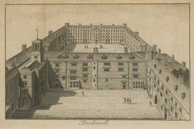 Vista aérea del Palacio de Bridewell de English School