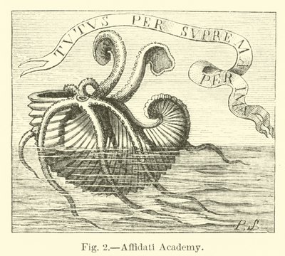 Academia Affidati de English School