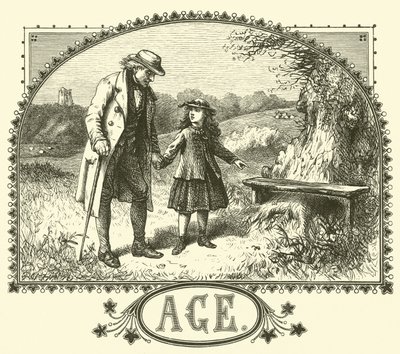 Vejez de English School