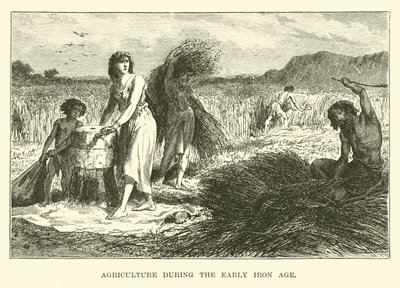 Agricultura durante la Edad del Hierro temprana de English School