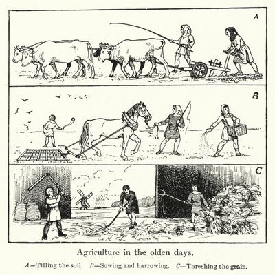 Agricultura en los tiempos antiguos de English School