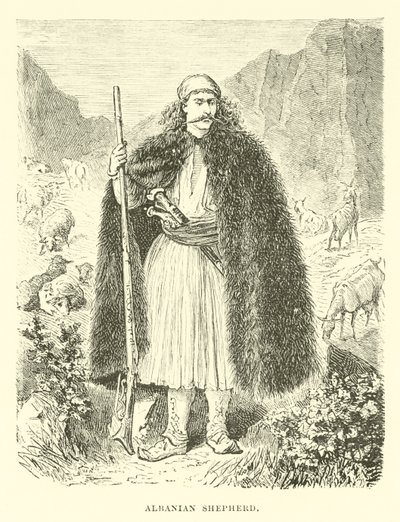 Pastor albanés de English School