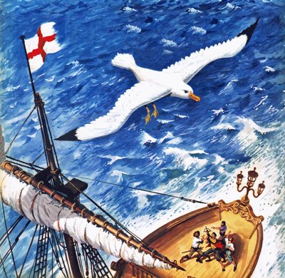 Albatros de English School