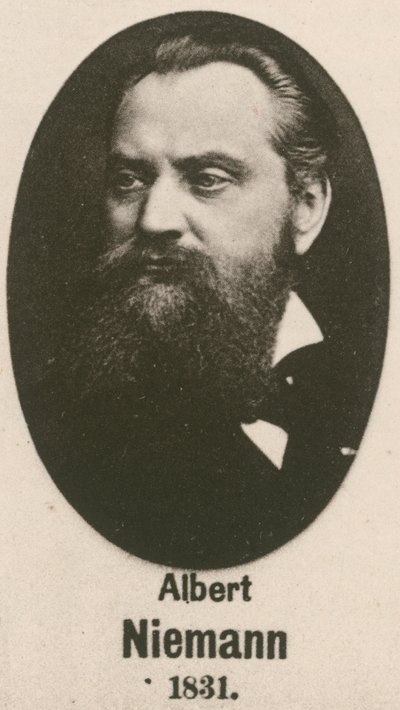 Albert Niemann de English School