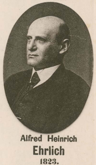 Alfred Heinrich Ehrlich de English School